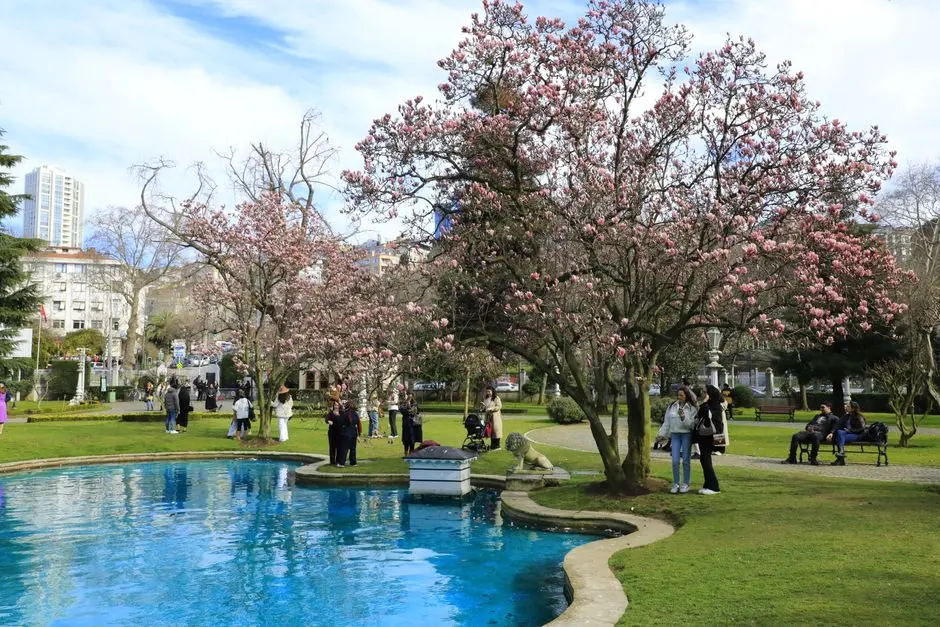 Sekelompok orang sedang berkumpul di taman kota sambil berbincang